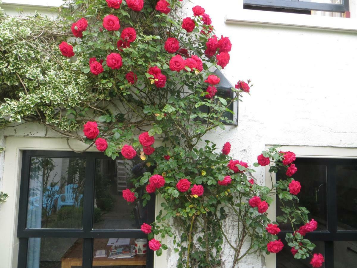 Apple Tree Cottage - Charming Home At Beautiful Canal In Our Idyllic Garden Χάουντα Εξωτερικό φωτογραφία